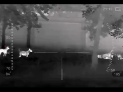 Hình ảnh nhiệt một mắt