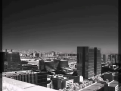 Hình ảnh nhiệt một mắt